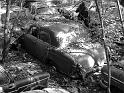 Autofriedhof - 214